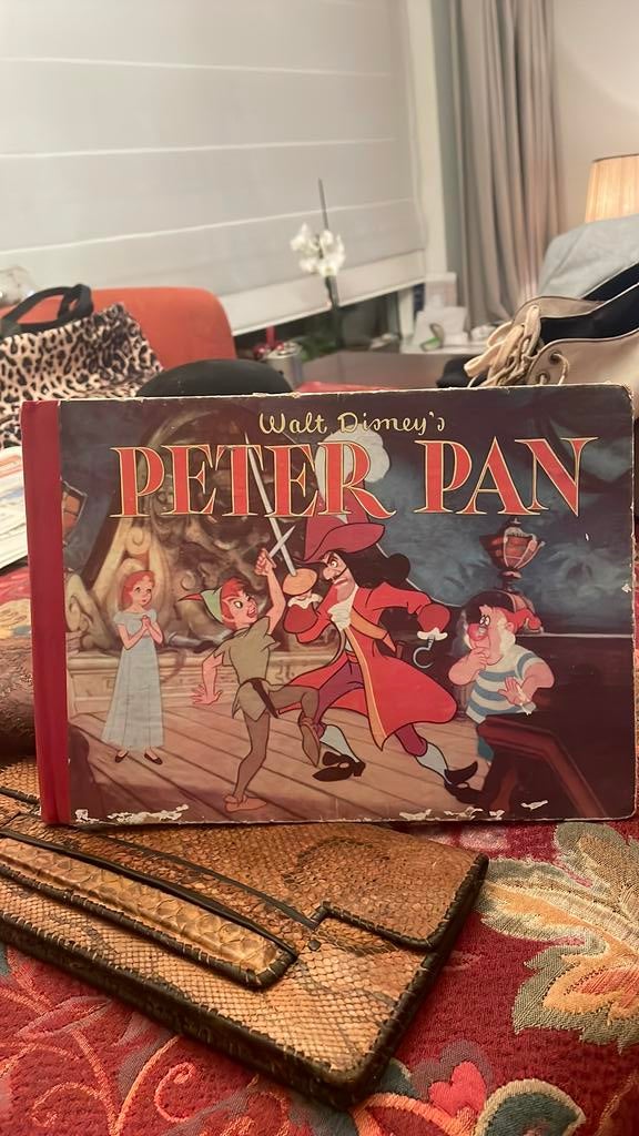 Peter pan boek, Verzamelen, Ophalen of Verzenden, Peter Pan of Pinokkio, Zo goed als nieuw, Overige typen
