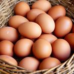 Vrije uitloop eieren XL formaat / Broedeieren, Diversen, Levensmiddelen, Ophalen of Verzenden