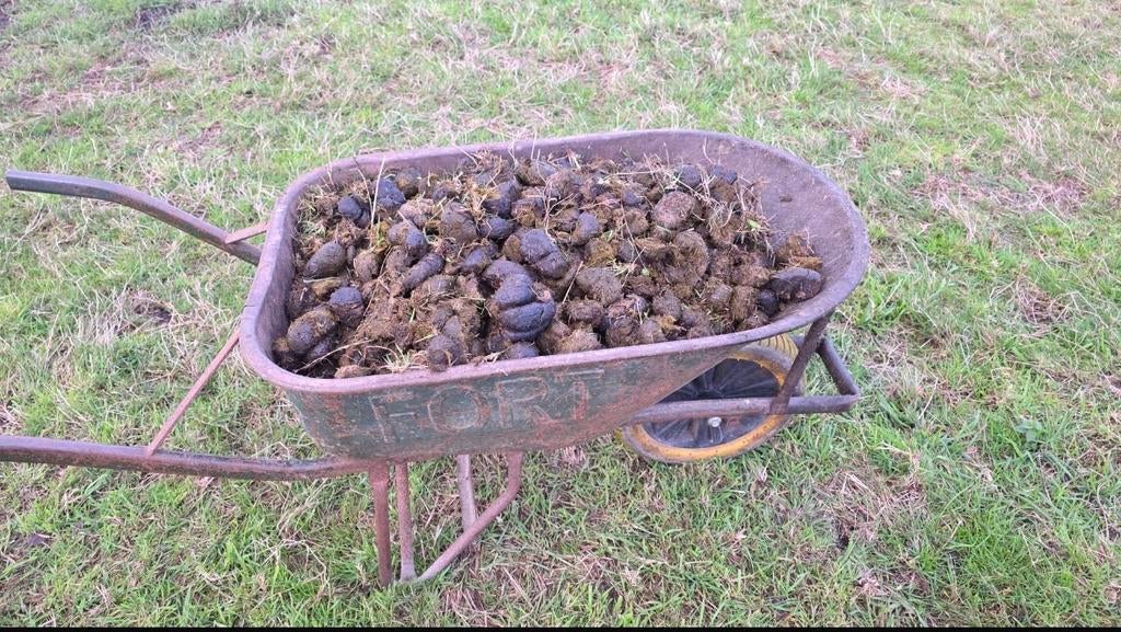 GRATIS verse paardenmest voor uw moestuin en tuin!, Tuin en Terras, Aarde en Mest, Mest, Ophalen of Verzenden