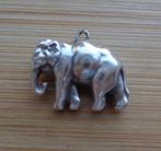 zilveren grote bedel olifant [651], Sieraden, Tassen en Uiterlijk, Bedels, Overige merken, Ophalen of Verzenden, Zo goed als nieuw