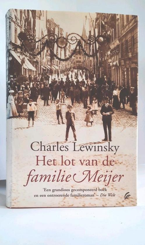 Het lot van de familie Meijer in GEBONDEN UITVOERING, Boeken, Literatuur, Zo goed als nieuw, Nederland, Verzenden