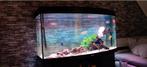Mooi aquarium ongeveer 300 liter, Dieren en Toebehoren, Vissen | Aquaria en Toebehoren, Ophalen of Verzenden, Zo goed als nieuw