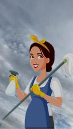 Betrouwbaare schoonmakster beschikbaar, Vanaf 10 jaar, Overige vormen