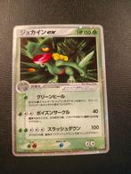 Sceptile ex japans magma vs aqua two ambitions, Hobby en Vrije tijd, Verzamelkaartspellen | Pokémon, Ophalen, Zo goed als nieuw