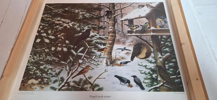 Vogels in de Winter - Prent, Antiek en Kunst, Antiek | Schoolplaten, Natuur en Biologie, Ophalen