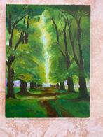 Canvas schilderijen van Natuur, Huis en Inrichting, Minder dan 50 cm, Ophalen of Verzenden, Zo goed als nieuw, Schilderij