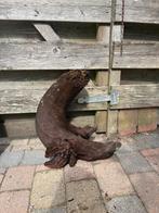 Groot Aquarium Hout - Decoratie, Dieren en Toebehoren, Vissen | Aquaria en Toebehoren, Ophalen, Plant(en), Steen of Hout