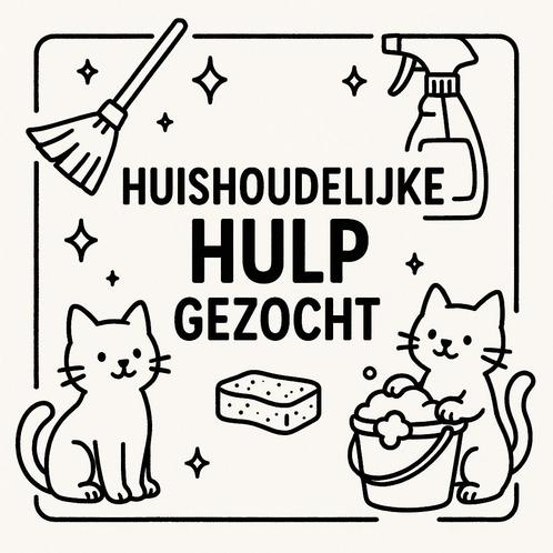 Huishoudelijke hulp gezocht – 1x per week  – Schiedam, Vacatures, Vacatures | Schoonmaak en Facilitaire diensten, Overige niveaus