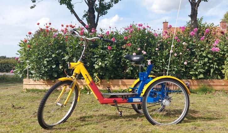 Draisin Revalidatie Fysio driewieler, Fietsen en Brommers, Fietsen | Driewielfietsen, Gebruikt, Ophalen