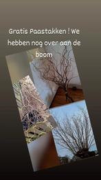 Gratis wilgentakken, Ophalen, Gebruikt