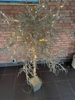Zilveren Kerstboompjes met Lichtjes, Ophalen, Zo goed als nieuw, Metaal, 100 tot 150 cm