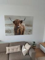 Glasschilderij Schotse hooglander 160- 110, Huis en Inrichting, Ophalen, 125 cm of meer, Zo goed als nieuw, Schilderij