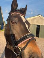 Lakhoofdstel maat cob, Dieren en Toebehoren, Paarden en Pony's | Hoofdstellen en Tuigage, Ophalen of Verzenden, Gebruikt, Dressuur