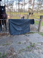 Dominick polo 200 gram weide deken maat M, Dieren en Toebehoren, Ophalen, Nieuw, Deken