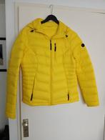 ANWB Damesjas Maat S, Ophalen of Verzenden, Zo goed als nieuw, Jack