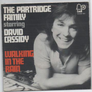 The Partridge Family- Walking in the Rain beschikbaar voor biedingen