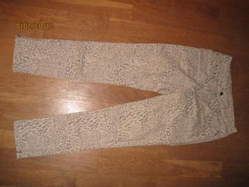 Onado beige broek met panterprint maat 36  beschikbaar voor biedingen