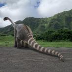 Rhoetosaurus Brownei – Dino beeld 12.90 x 2.00 x 5.25 mt, Verzamelen, Dierenverzamelingen, Nieuw, Ophalen