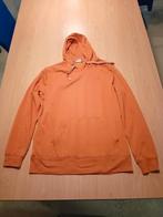 Oranje hoody maat L merk Panther, Kleding | Heren, Sportkleding, Ophalen, Gedragen, Oranje