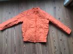 Oranje Gewatteerd Jasje, Maat 38/40 (M), Nieuw, Oranje, Ophalen of Verzenden