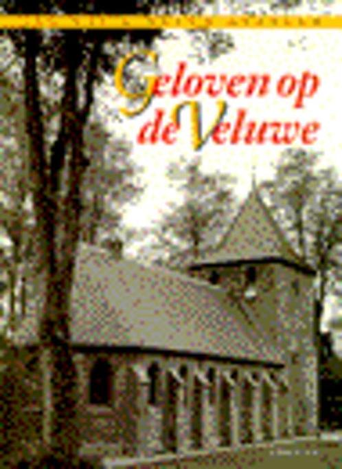 Geloven op de Veluwe, Boeken, Geschiedenis | Stad en Regio, Zo goed als nieuw, 20e eeuw of later, Ophalen of Verzenden