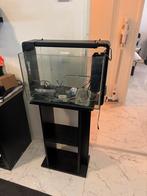 Met onderstel 55/35/35 met accessoires, Ophalen, Zo goed als nieuw, Leeg aquarium