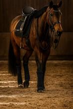AKM Dressage & More, Dieren en Toebehoren, Stalling en Weidegang, Weidegang, 4 paarden of pony's of meer
