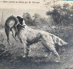 fr 1908 hond ENGELSE SETTER met jachtbuit HAAS  Illstrateur, Verzamelen, Overige thema's, Ongelopen, Ophalen of Verzenden, Voor 1920