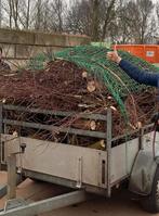 Gratis op te halen wilgentakken paarden, Overige soorten, Lente, 100 tot 250 cm, Ophalen