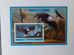 183 Motief, Dier, Dieren, Vogel, Vogels, Ophalen of Verzenden, Dier of Natuur