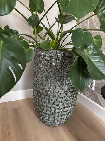 Grote Keramische PTMD Bloempot met Monstera plant beschikbaar voor biedingen