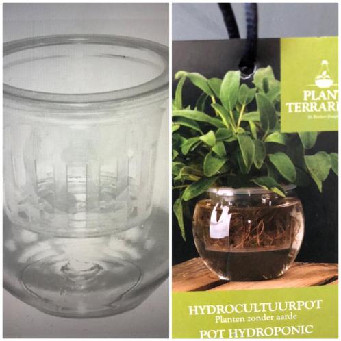 Hydrocultuurpot/ Planten zonder aarde. Prijs per pot. Nieuw, Huis en Inrichting, Kamerplanten, Overige soorten, Ophalen of Verzenden