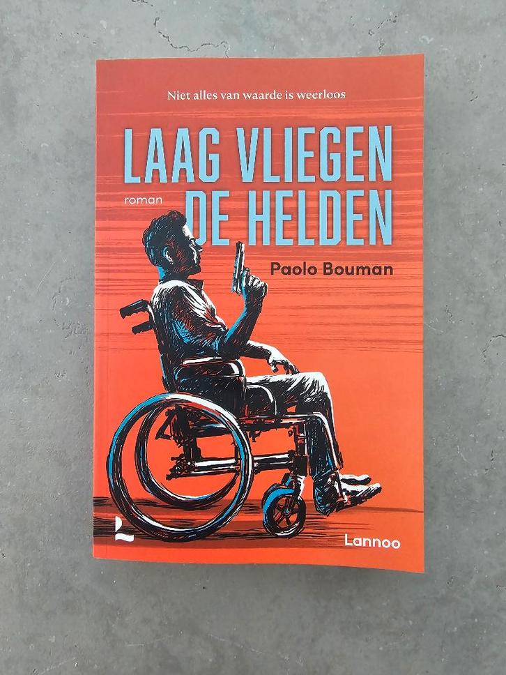 leesboek - Laag vliegen de helden, Boeken, Romans, Nieuw, België, Ophalen of Verzenden