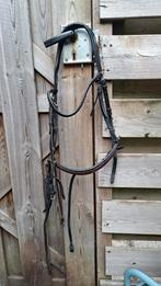 hoofdstel maat cob, Ophalen of Verzenden, Gebruikt, Dressuur