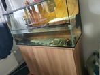 Schildpad Aquarium + Toebehoren, Dieren en Toebehoren, Ophalen, Zo goed als nieuw