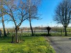 Stal vrij voor sociaal paard/pony, Dieren en Toebehoren, Stalling en Weidegang, Stalling