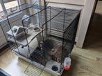 Hamster kooi voor dwerghamster, Kooi, Minder dan 75 cm, Hamster, Minder dan 60 cm