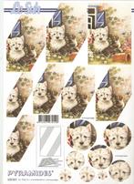 d4 knipvel le suh 630.067 pyramide honden, Ophalen of Verzenden, Nieuw, Dieren, Knipvel