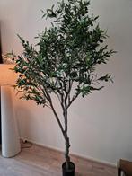Prachtige olijfboom 210cm (kunstboom), Huis en Inrichting, Ophalen, Zo goed als nieuw