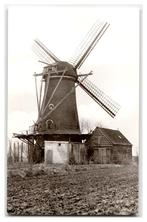 Zonnemaire, Korenmolen "De Korenbloem", Verzamelen, Ansichtkaarten | Nederland, Verzenden, 1960 tot 1980, Ongelopen, Zeeland