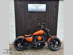 HARLEY-DAVIDSON SPORTSTER 1200 CUSTOM (bj 2016), Motoren, Motoren | Harley-Davidson, HARLEY-DAVIDSON, Onbekend, Particulier, Overig