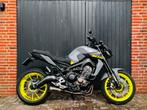 Yamaha MT 09 Night Fluo ABS Quicksifter SC Project Quadlock, Motorrijbewijs A, Bedrijf, LED Verlichting, Meer dan 35 kW