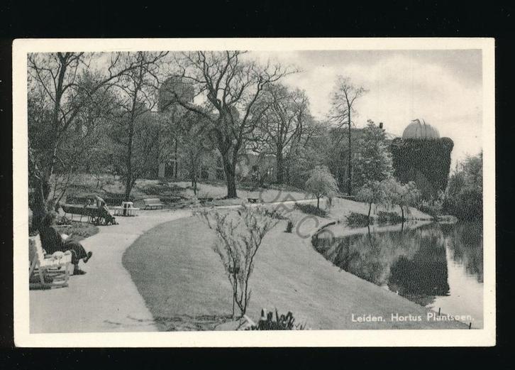 Leiden - Hortus Plantsoen [KRST009-2010, Verzamelen, Ansichtkaarten | Nederland, Gelopen, Zeeland, 1940 tot 1960, Verzenden