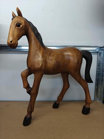 Paard  beschikbaar voor biedingen