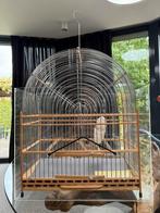Twatwa kooi, Dieren en Toebehoren, Ophalen, Zo goed als nieuw, Metaal, Vogelkooi
