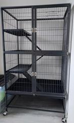 Keddoc Rattenkooi Home Studio, Dieren en Toebehoren, Knaagdieren en Konijnen | Hokken en Kooien, Ophalen, Kooi, Zo goed als nieuw