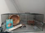 Glazen hamsterkooi, Dieren en Toebehoren, Kooi, Hamster, Zo goed als nieuw, 75 tot 110 cm