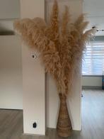 Mega grote bos pampas pluimen incl. vaas, Ophalen, Zo goed als nieuw