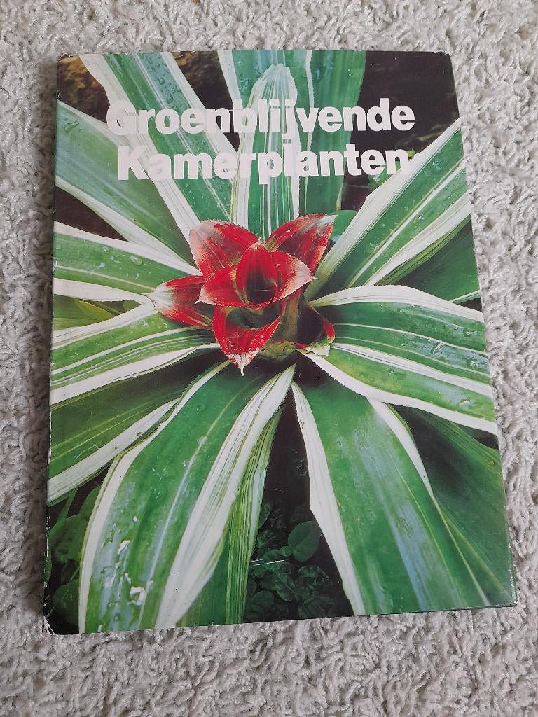 GROENBLIJVENDE KAMERPLANTEN red. Frans W Wegman, Boeken, Wonen en Tuinieren, Ophalen of Verzenden, Zo goed als nieuw, Tuinieren en Tuinplanten