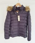 Tommy Hilfiger women winter jacket, Blauw, Ophalen of Verzenden, Zo goed als nieuw, Maat 36 (S)